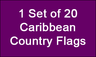 4x6in Set of 20 Caribbean Stick Flags