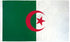 Algeria Flag 2x3ft Poly - Flags Importer