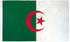 Algeria Flag 2x3ft Poly - Flags Importer