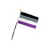 Asexual 4x6in Stick Flag - Flags Importer