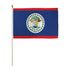 Belize 12x18in Stick Flag - Flags Importer