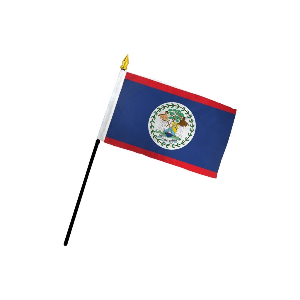 Belize 4x6in Stick Flag - Flags Importer