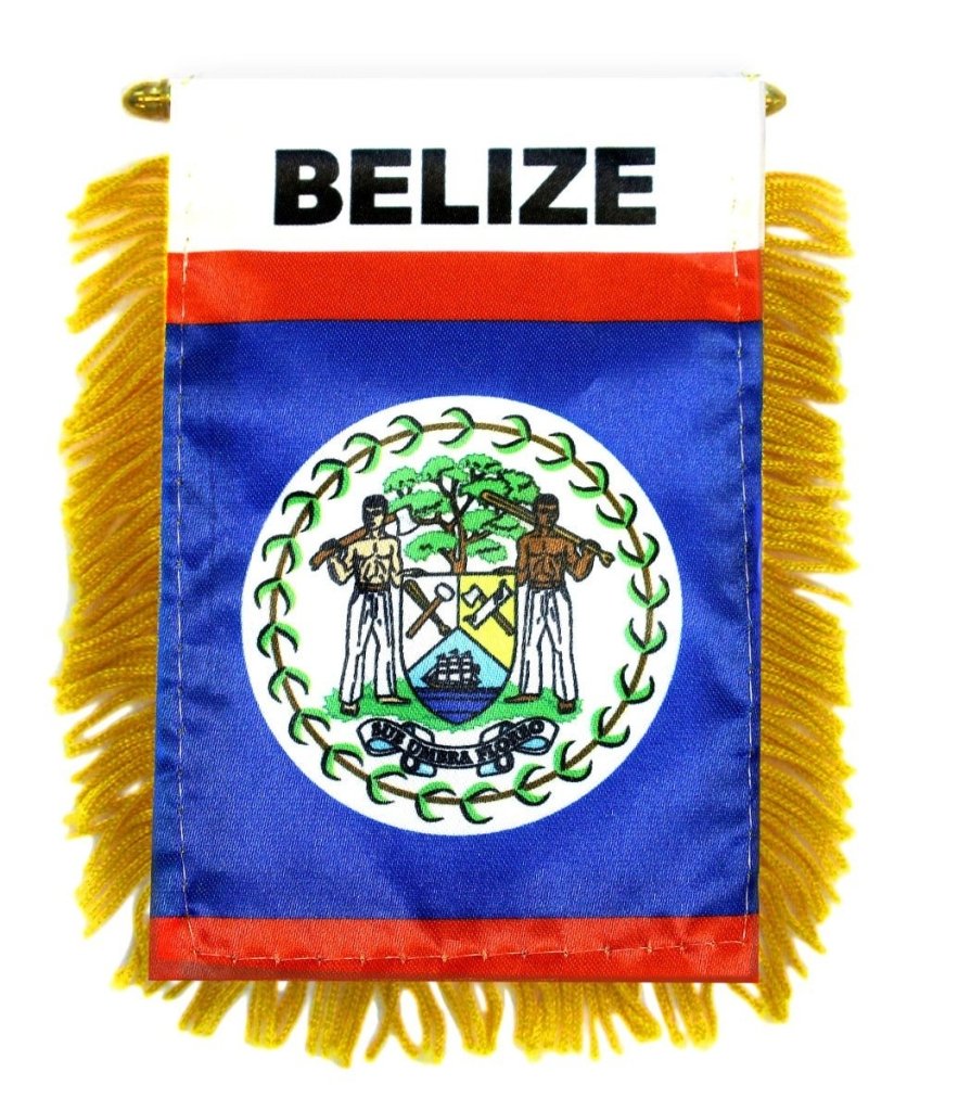 Belize Mini Banner - Flags Importer