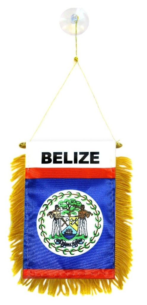 Belize Mini Banner - Flags Importer