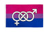 Bisexual (Symbol) Flag 2x3ft Poly - Flags Importer