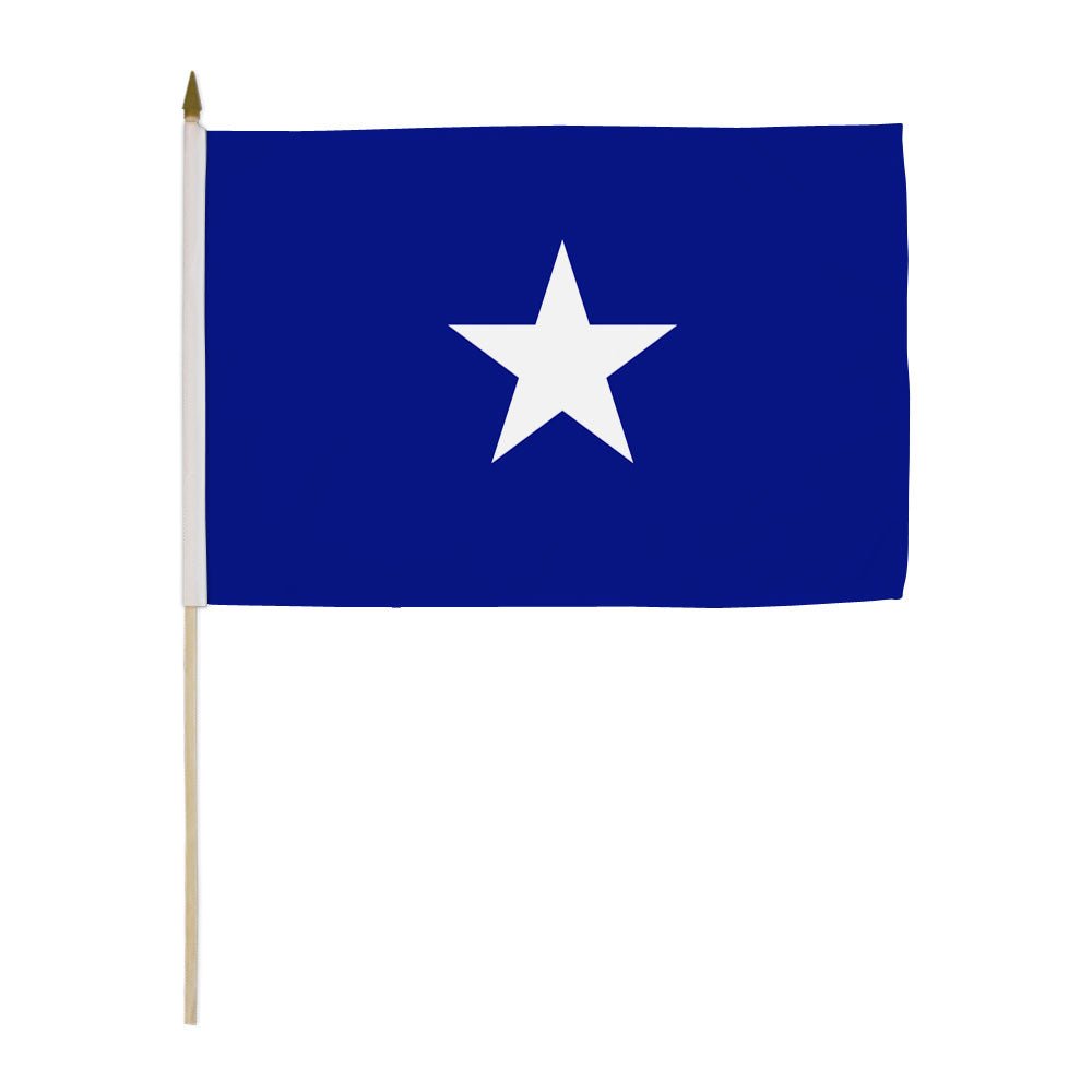 Bonnie Blue 12x18in Stick Flag - Flags Importer