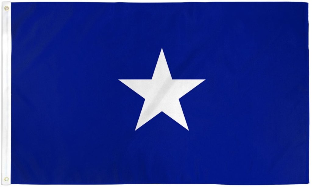 Bonnie Blue Flag 3x5ft Poly - Flags Importer