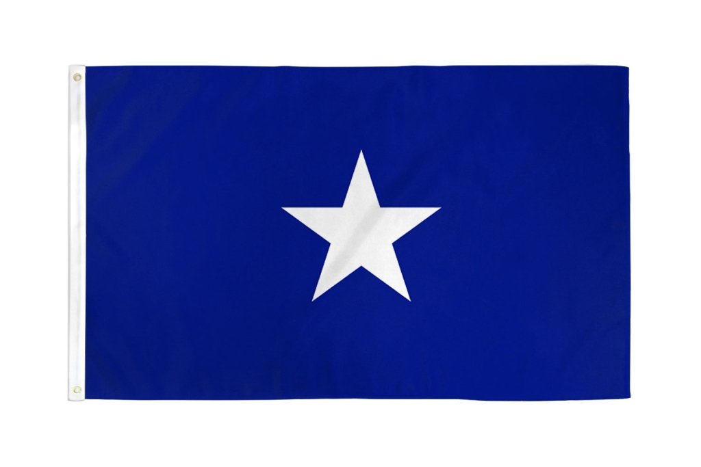 Bonnie Blue Flag 3x5ft Poly - Flags Importer