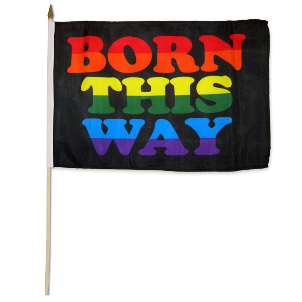 Born This Way 12x18in Stick Flag - Flags Importer