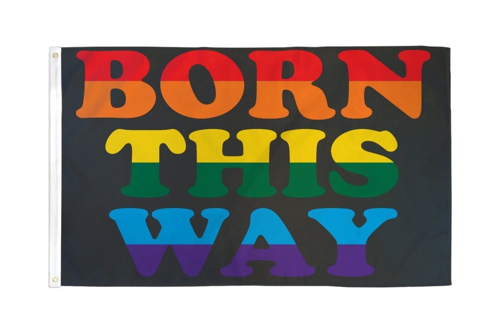 Born This Way Flag 3x5ft Poly - Flags Importer