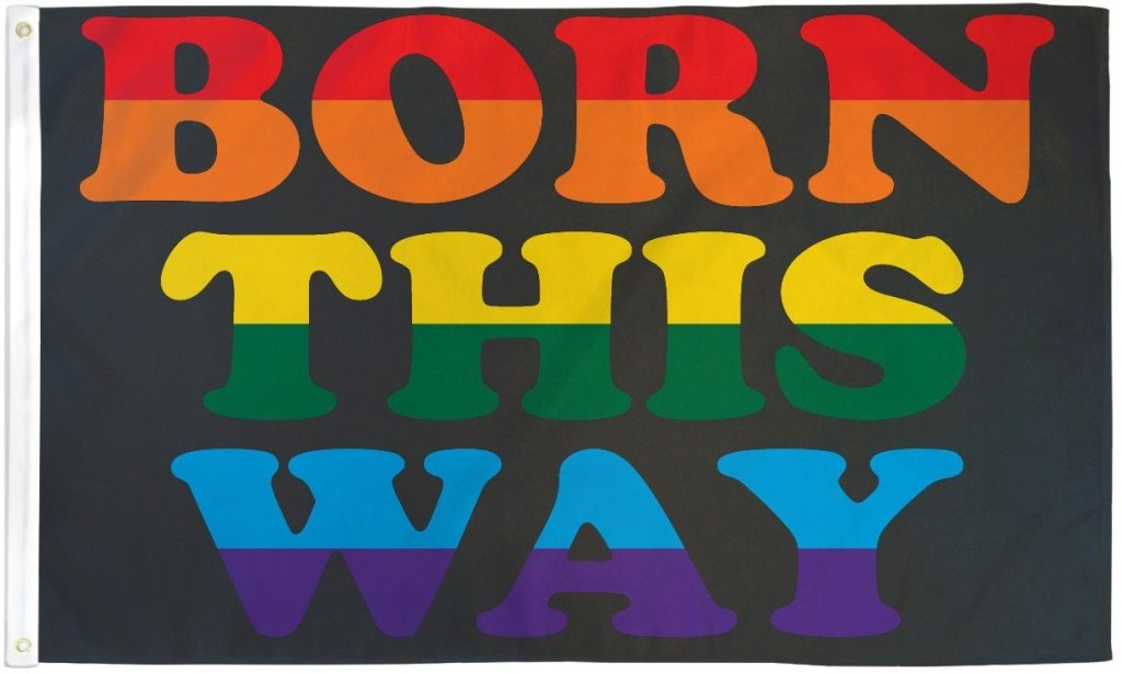 Born This Way UltraBreeze 3x5ft Poly Flag - Flags Importer