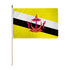 Brunei 12x18in Stick Flag - Flags Importer