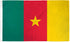 Cameroon Flag 2x3ft Poly - Flags Importer