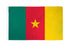 Cameroon Flag 2x3ft Poly - Flags Importer