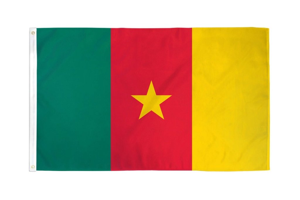 Cameroon Flag 3x5ft Poly - Flags Importer