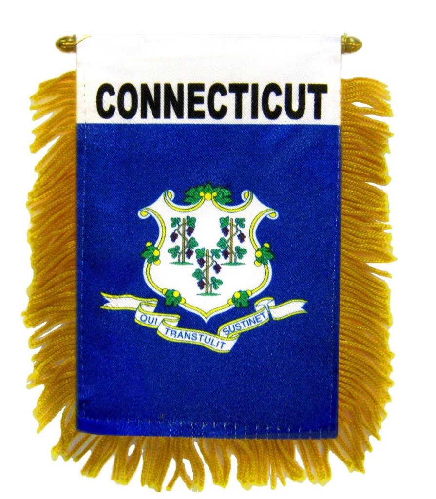 Connecticut Mini Banner - Flags Importer