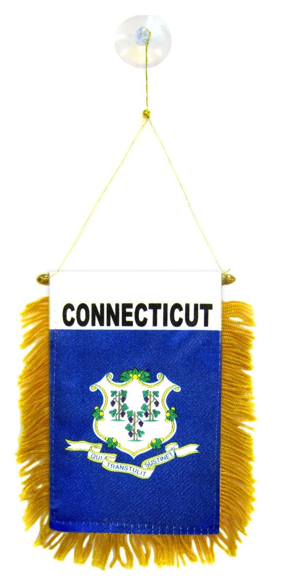 Connecticut Mini Banner - Flags Importer