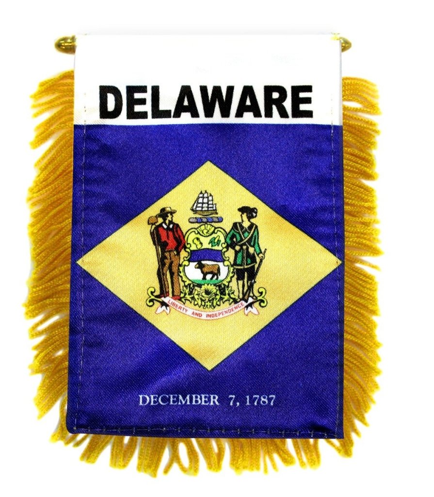 Delaware Mini Banner - Flags Importer