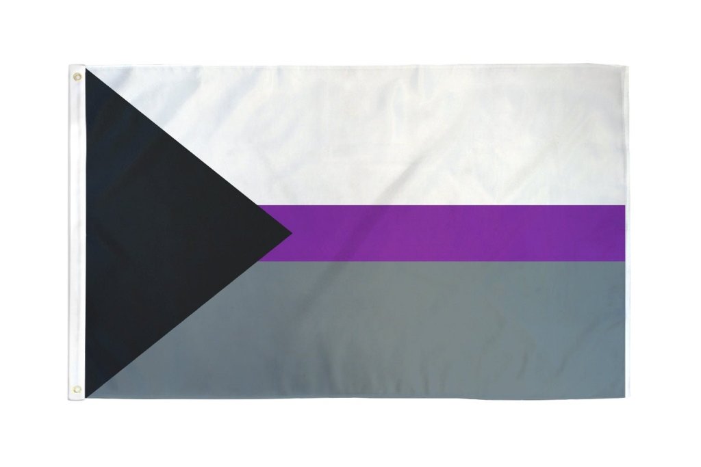 Demisexual Flag 3x5ft Poly - Flags Importer