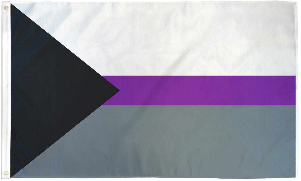 Demisexual Flag 3x5ft Poly - Flags Importer