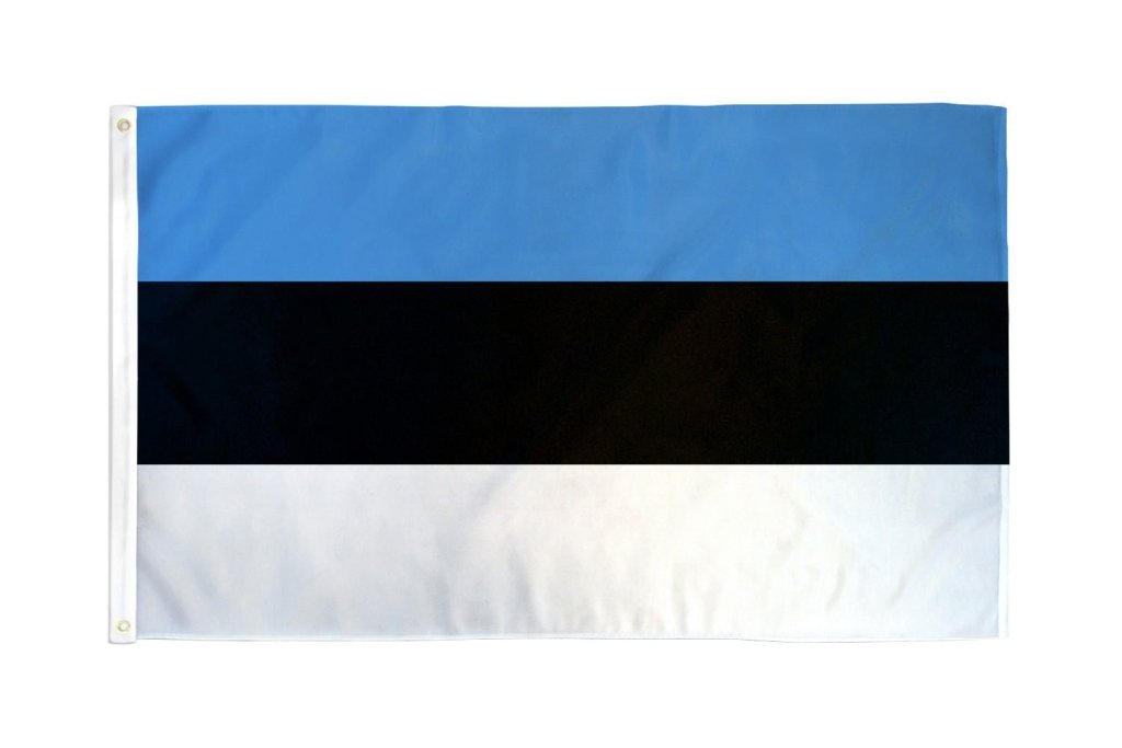 Estonia Flag 2x3ft Poly - Flags Importer