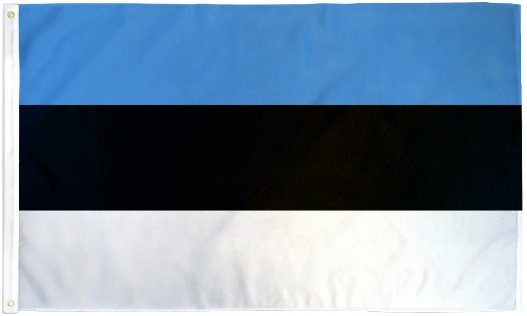 Estonia Flag 3x5ft Poly - Flags Importer