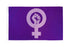 Feminist Flag 3x5ft Poly - Flags Importer