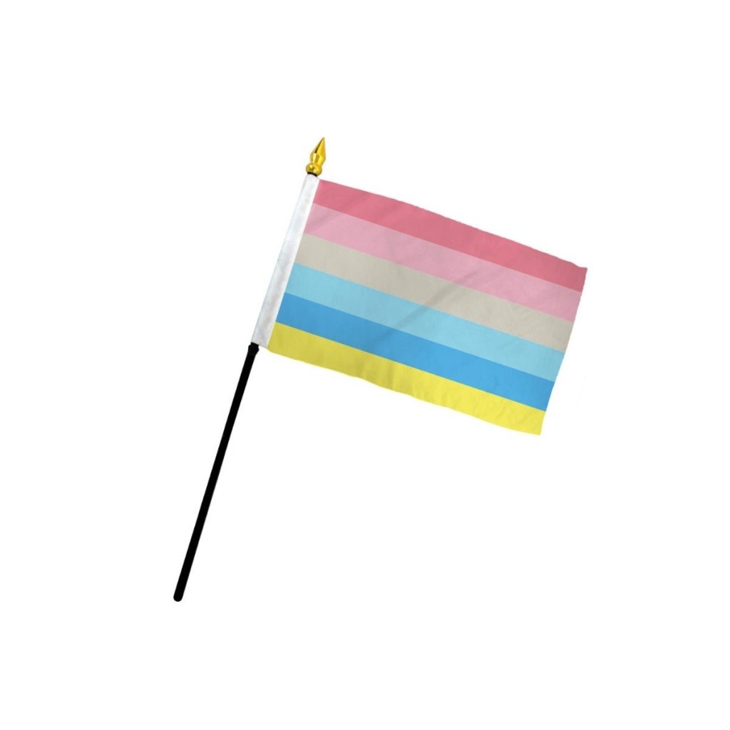 Genderflux 4x6in Stick Flag - Flags Importer