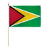 Guyana 12x18in Stick Flag - Flags Importer