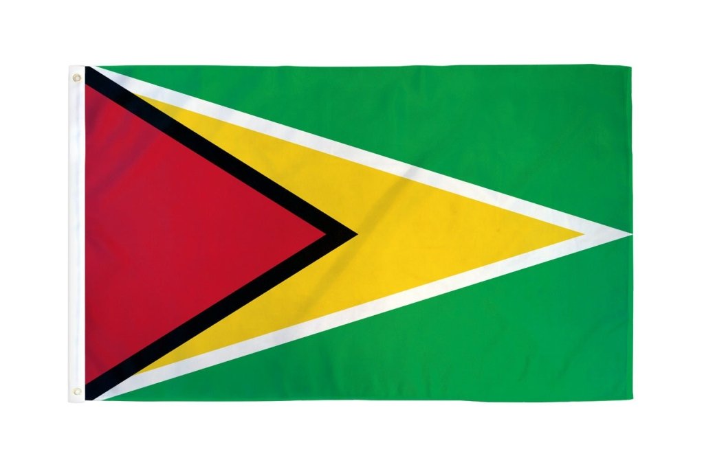 Guyana Flag 2x3ft Poly - Flags Importer