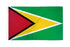 Guyana Flag 2x3ft Poly - Flags Importer