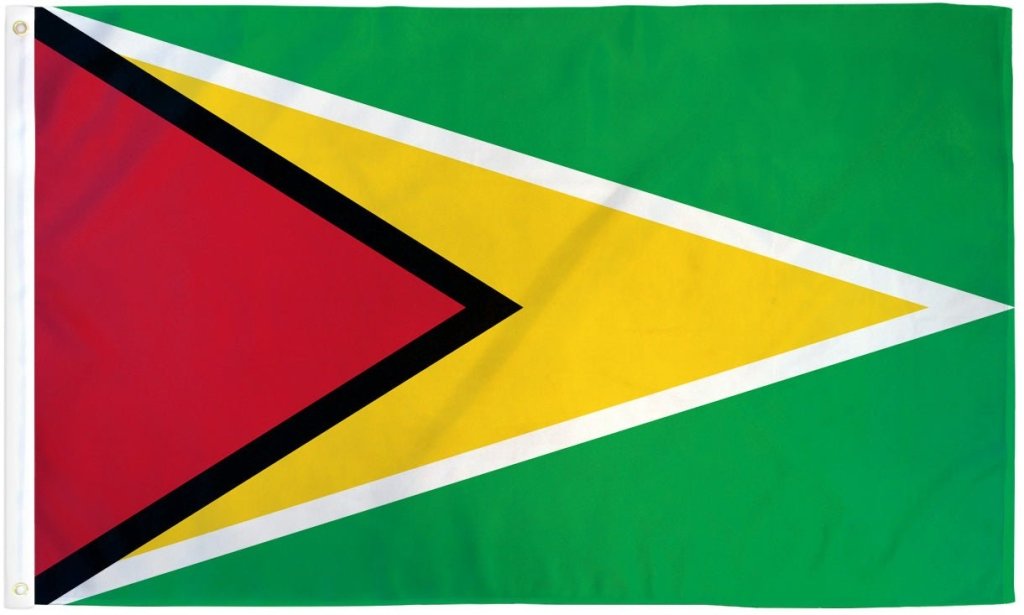 Guyana Flag 2x3ft Poly - Flags Importer