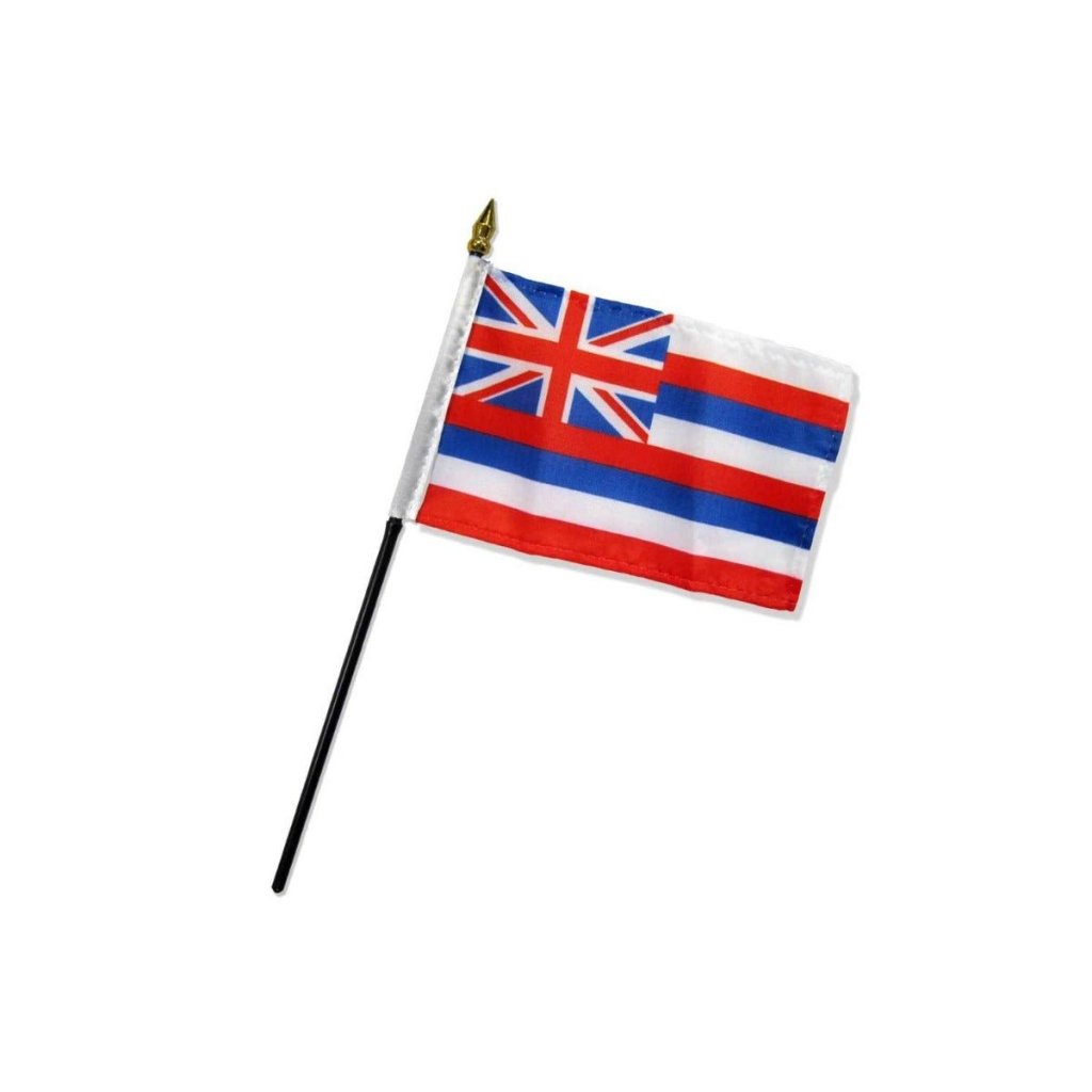 Hawaii 4x6in Stick Flag - Flags Importer