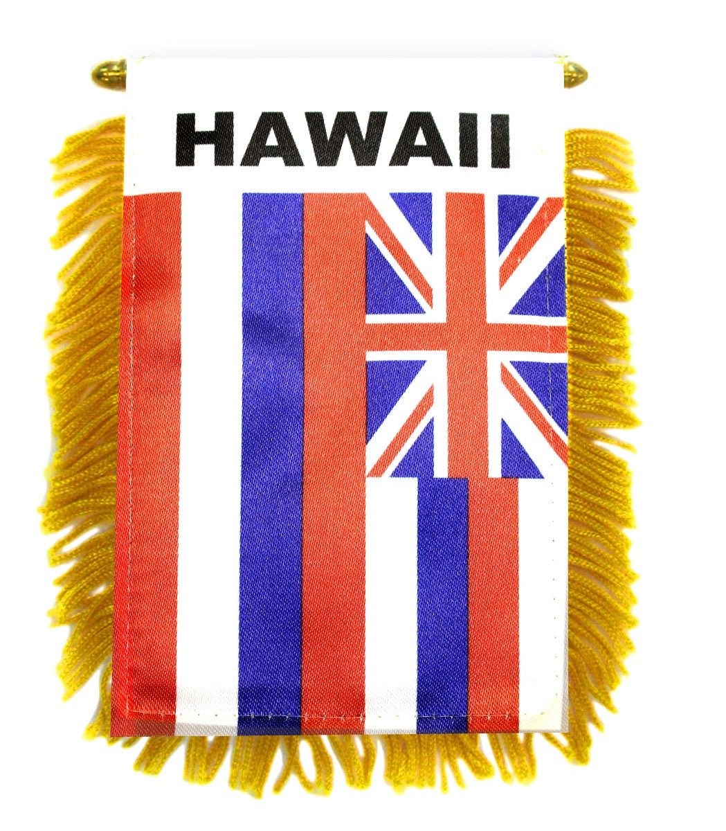 Hawaii Mini Banner - Flags Importer