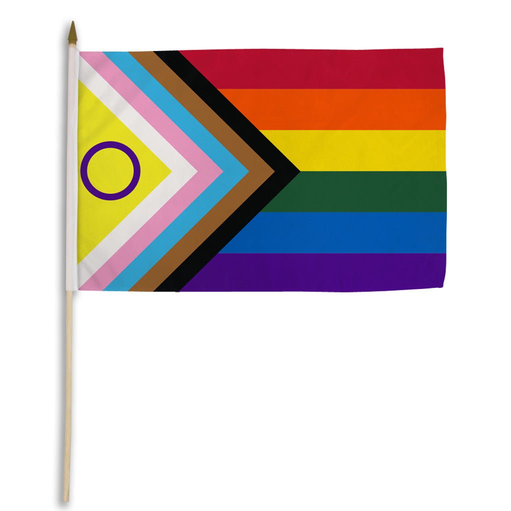 Inclusive Pride 12x18in Stick Flag - Flags Importer