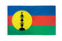 New Caledonia Flag 3x5ft Poly - Flags Importer