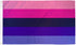 Omnisexual Flag 3x5ft Poly - Flags Importer