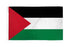 Palestine Flag 2x3ft Poly - Flags Importer