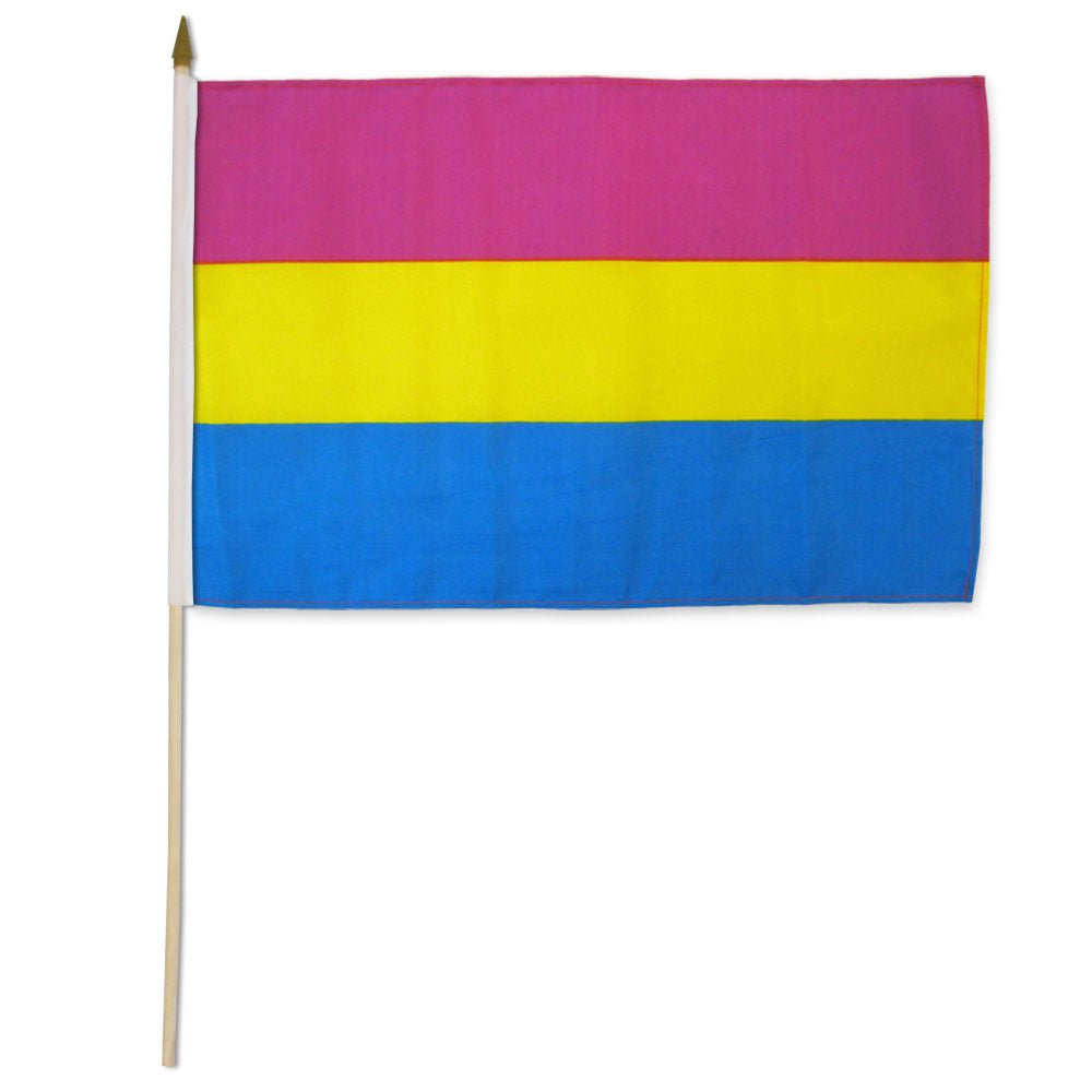 Pansexual 12x18in Stick Flag - Flags Importer