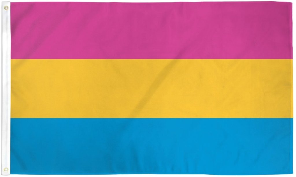 Pansexual Flag 2x3ft Poly - Flags Importer