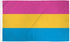 Pansexual Flag 2x3ft Poly - Flags Importer