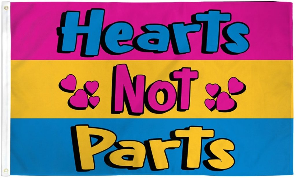 Pansexual (Hearts Not Parts) Flag 3x5ft Poly - Flags Importer