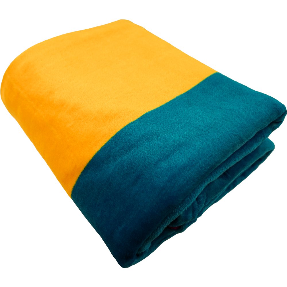 Pansexual Soft Plush 50x60in Blanket - Flags Importer