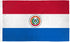 Paraguay Flag 3x5ft Poly - Flags Importer