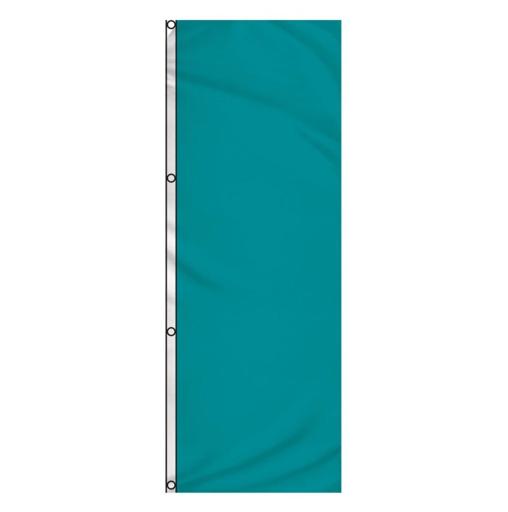 Parrot Blue Solid Color 3x8ft DuraFlag Banner - Flags Importer