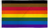 Philly Rainbow Flag 2x3ft Poly - Flags Importer