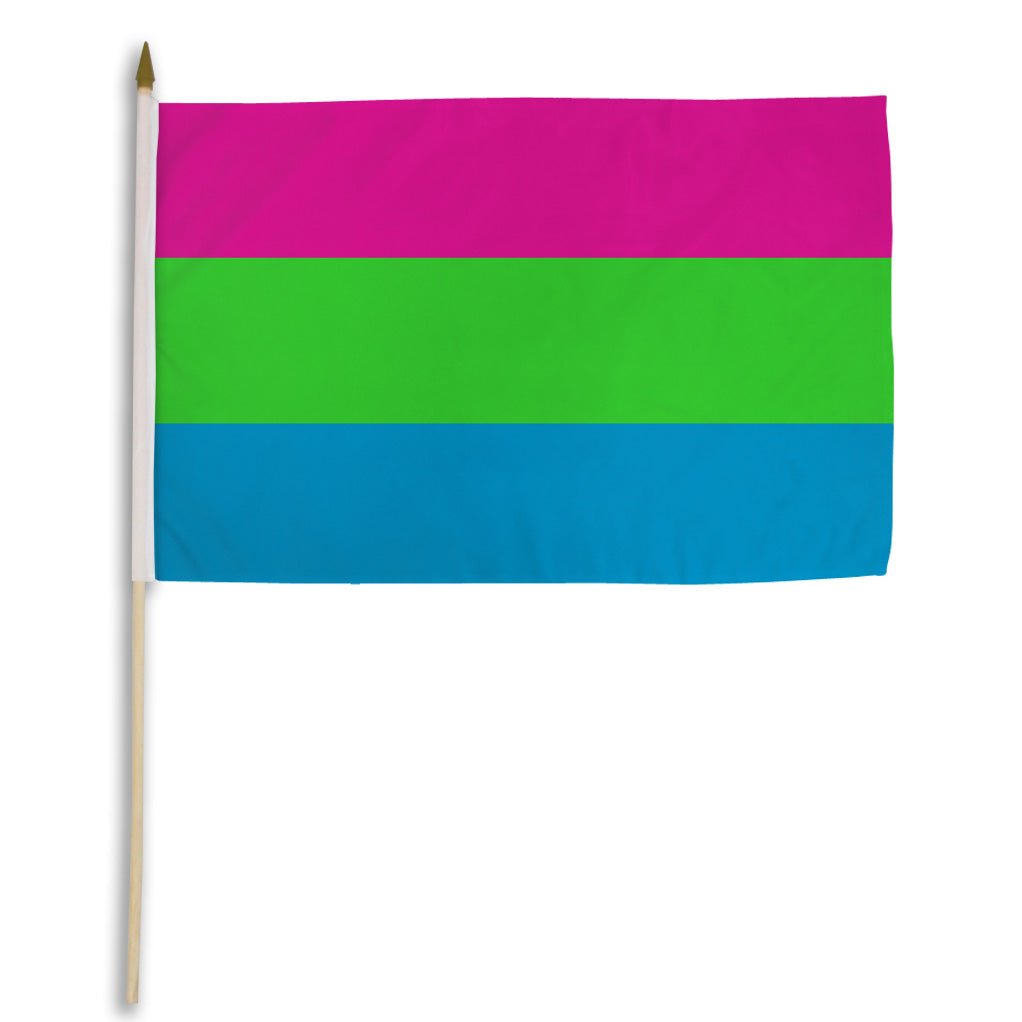 Polysexual 12x18in Stick Flag - Flags Importer