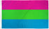 Polysexual Flag 3x5ft Poly - Flags Importer