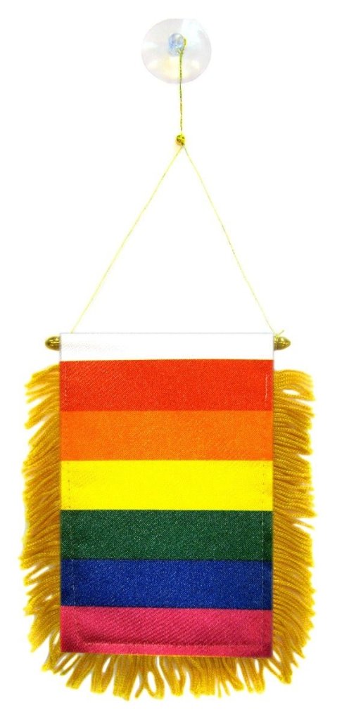 Rainbow Mini Banner - Flags Importer