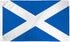 Scotland Flag 3x5ft Poly - Flags Importer